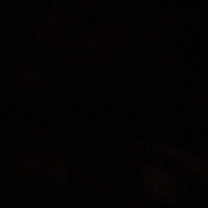 Meet your Posher, Miles